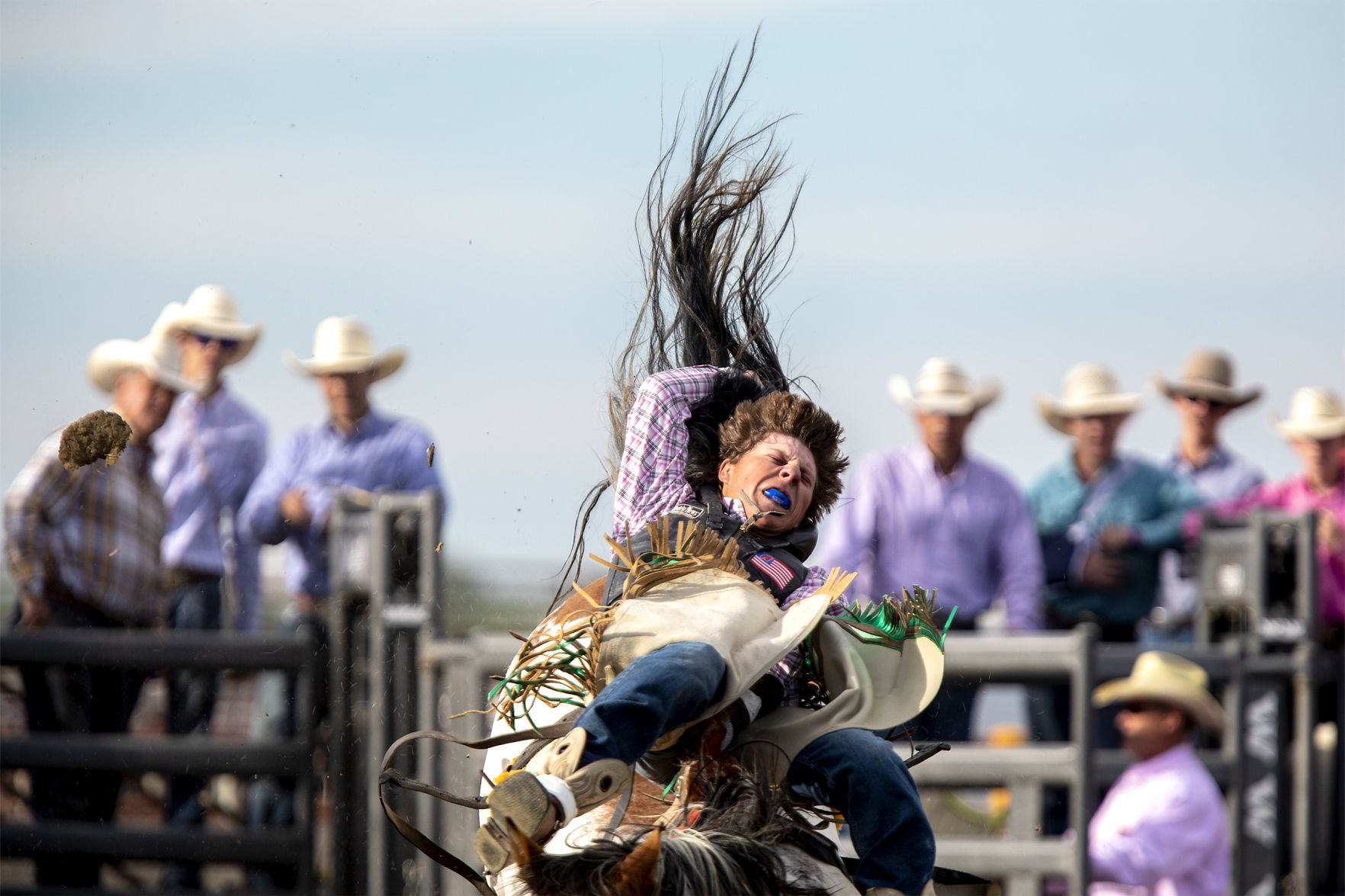 Rodeo gallery